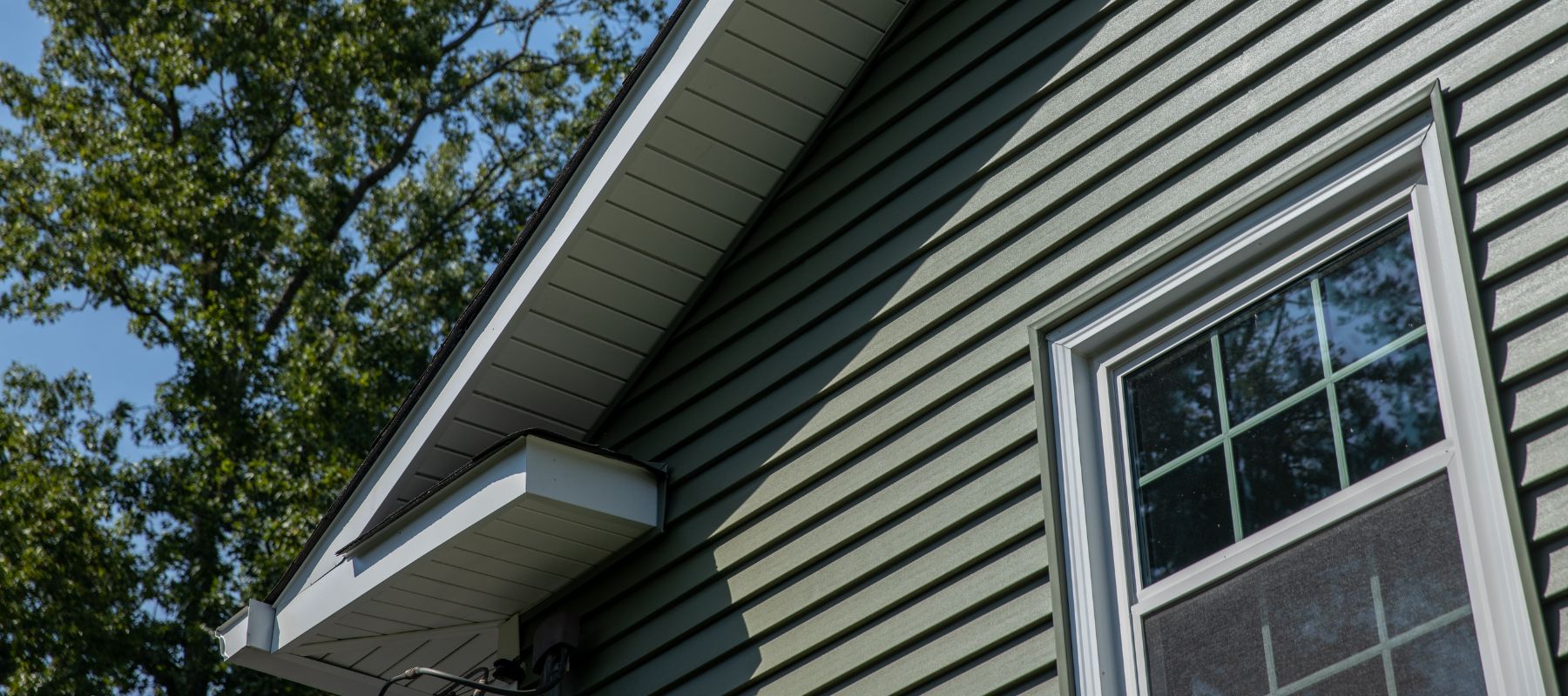 closeup of green siding on a house with a blue sky and tree leaves in the background